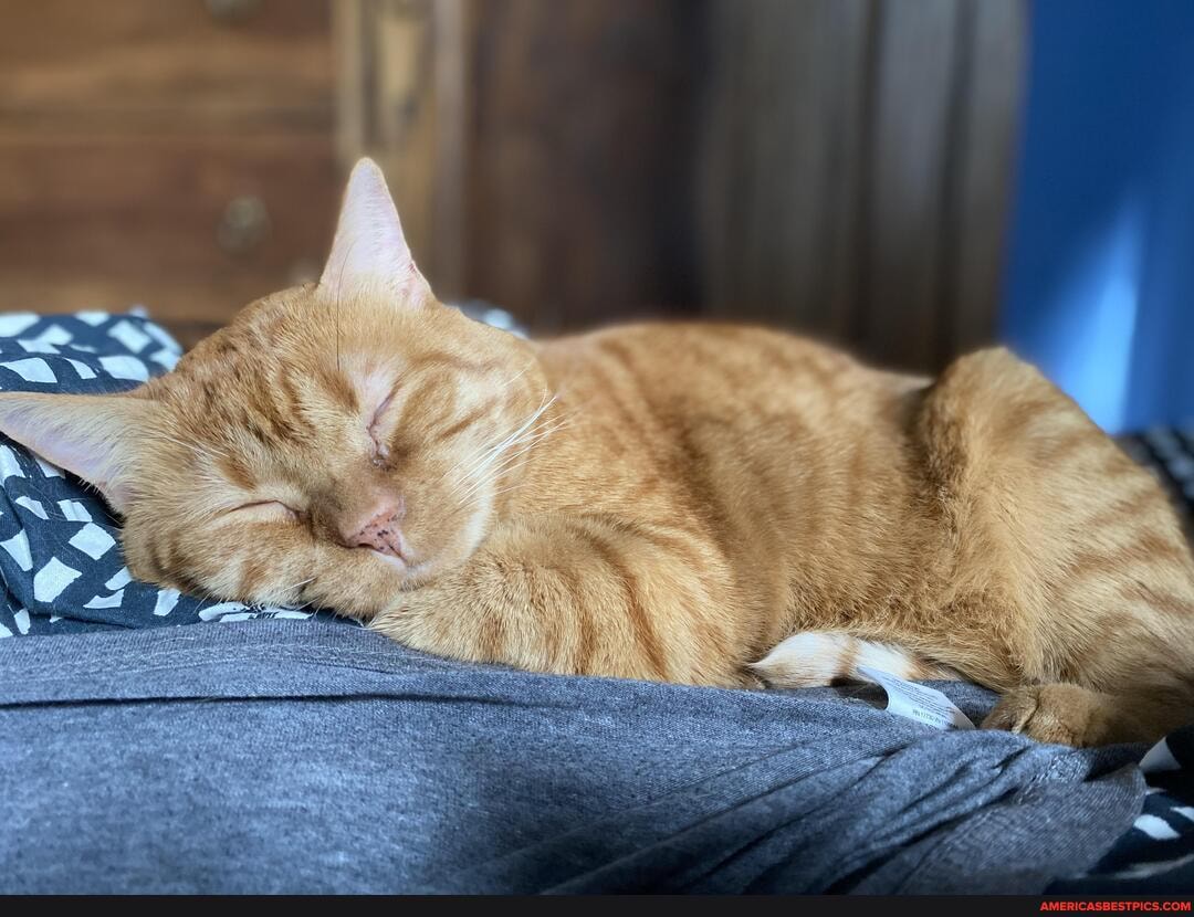 ve, seen, sleeps, different, locations