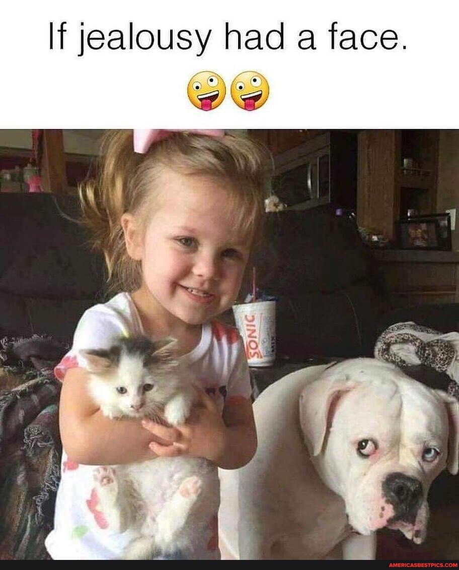If jealousy had a face.