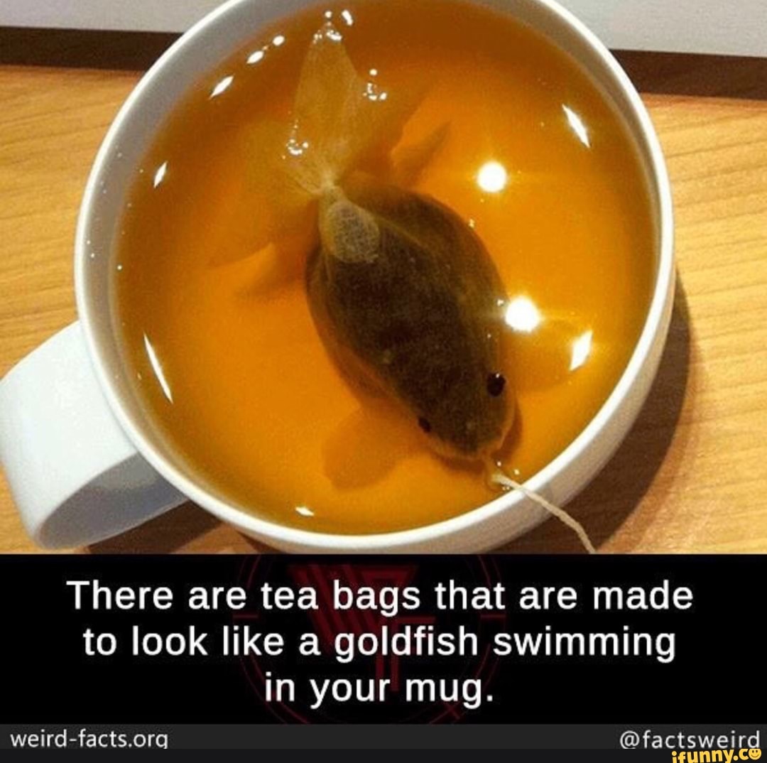 There are tea bags that are made to look like a goldfish swimming in your m...