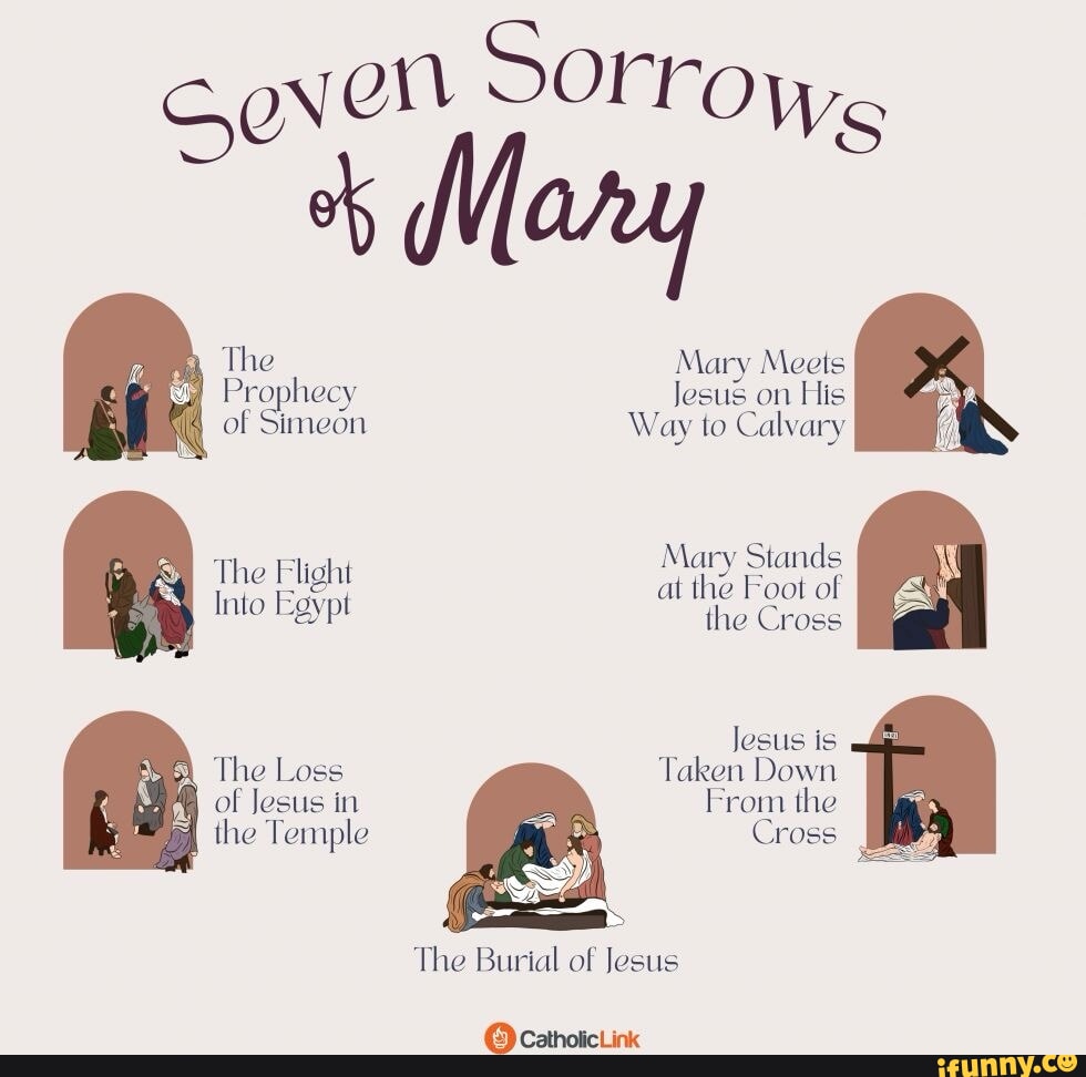 The Mary Meets Prophecy Jesus on His of Simeon Way