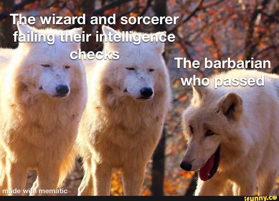 The wizard and sorcerer I