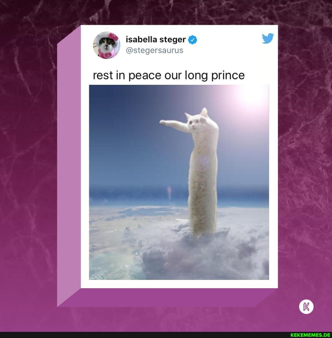 mm isabella steger @stegersaurus @
rest in peace our long prince