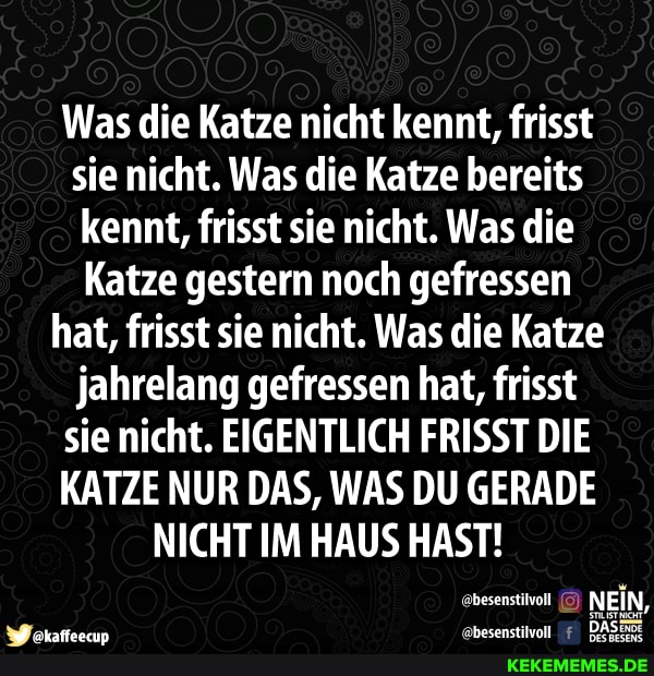 Was die Katze nicht kennt, frisst sie nicht. Was die Katze bereits kennt, frisst sie nicht. Was die
Katze gestern noch gefressen hat, frisst sie nicht. Was die Katze jahrelang gefressen hat, frisst sie nicht. EIGENTLICH FRISST DIE KATZE NUR DAS, WAS DU GERADE NICHT IM HAUS HAST!
NEIN,