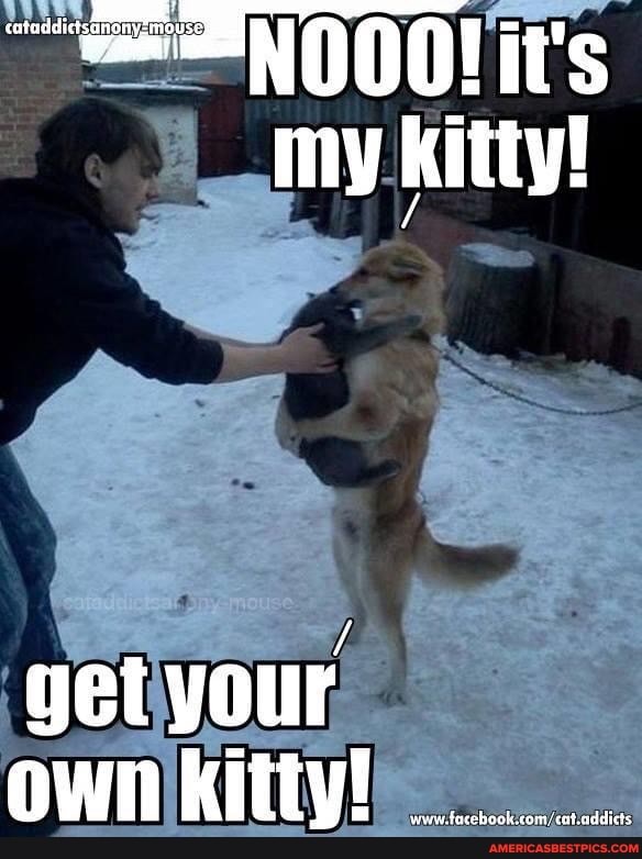 ~verN000! it's my kitty!
own itty!