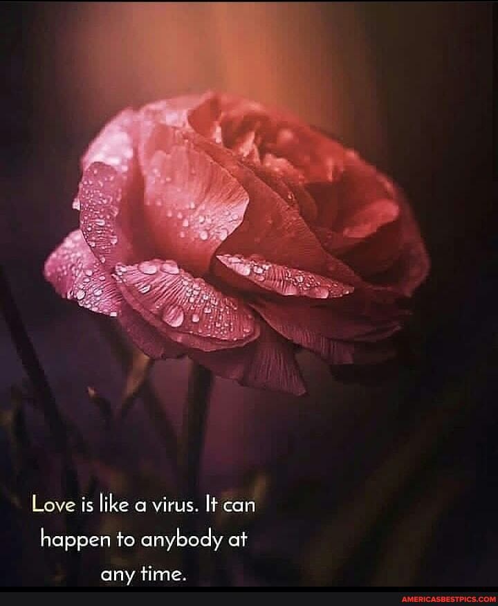 Love is like a virus. It can happen to anybody at
any time