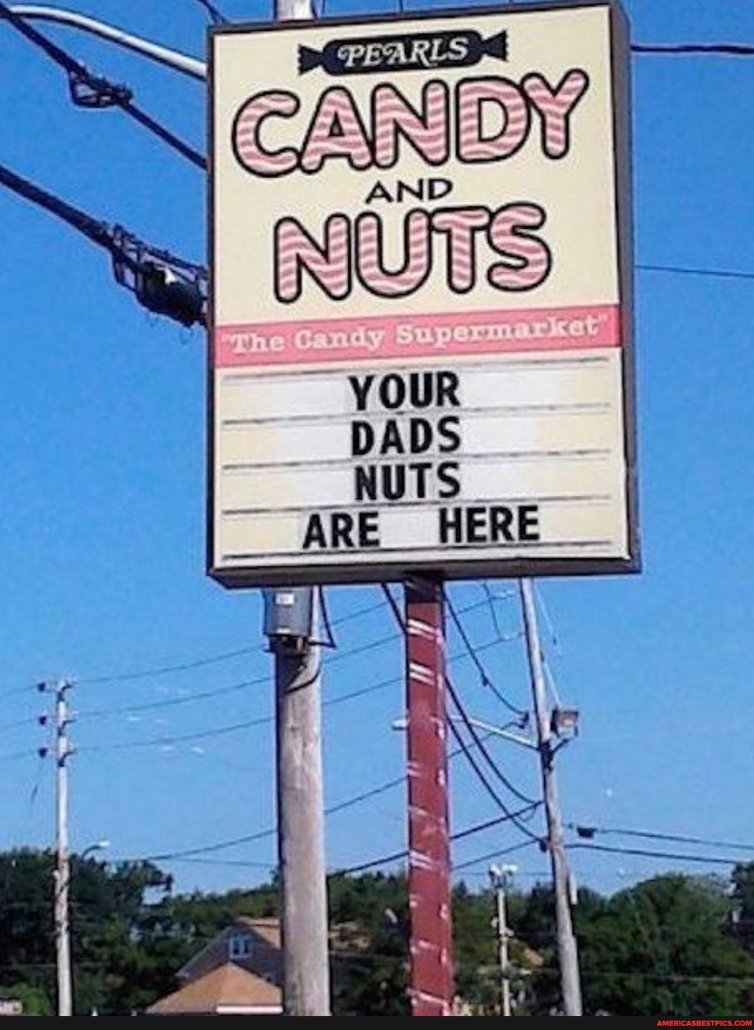 AN
YOUR DADS NUTS
__ARE HERE