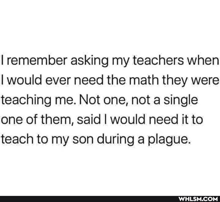 remember asking my teachers when
I would ever need the math they were teaching me. Not one, not a single one of them, said I would need it to teach to my son during a plague.