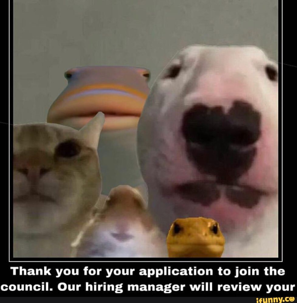 Thank You For Your Application To Join The Council Our Hiring Manager Will Review Vour 