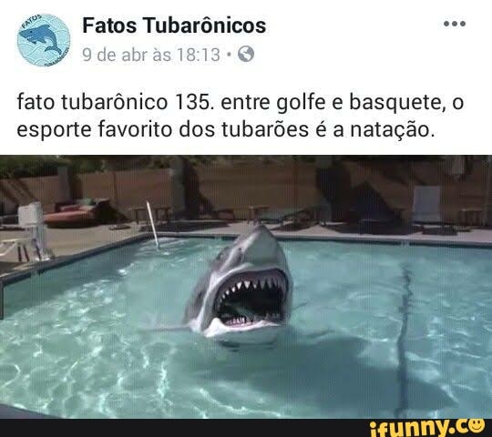 Fatos Tubarônicos
de
fato tubarônico 135. entre golfe e basquete, o esporte favorito dos tubarões é a natação.
at db