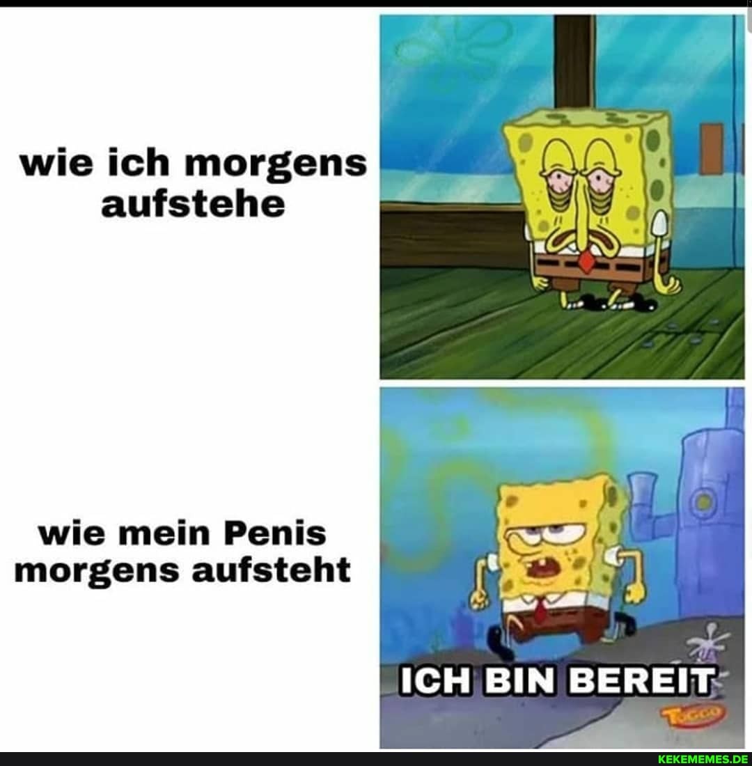 wie ich morgens aufstehe
wie mein Penis morgens aufsteht
ICH BIN BEREIT-