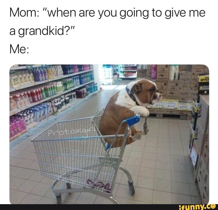 Mom: "when are you going to give me