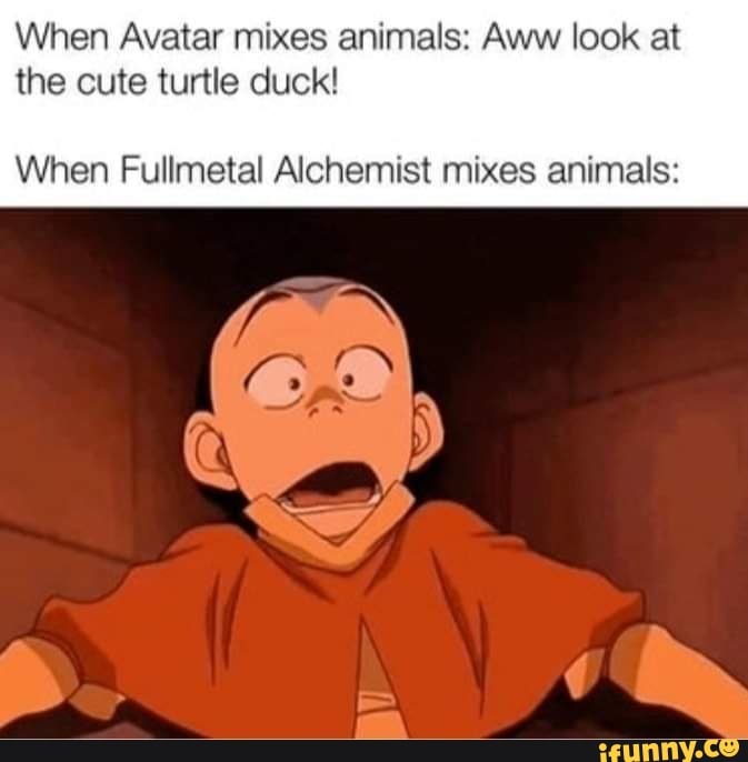 When Avatar mixes animals: Aww look at the cute turtle duck! When ...