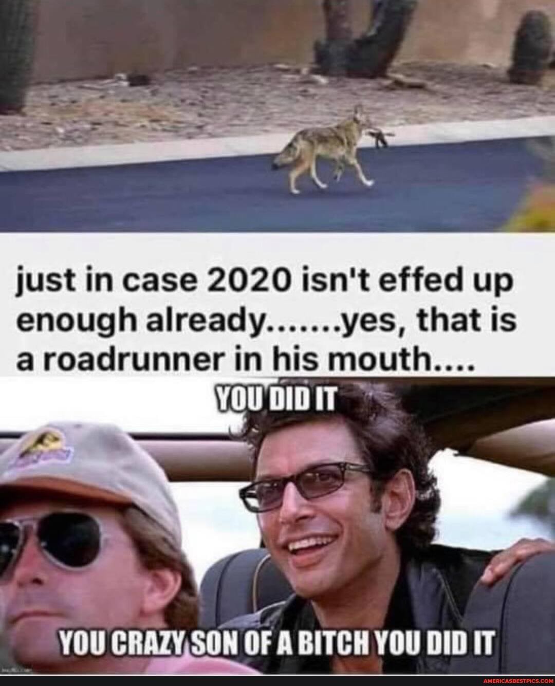 just in case 2020 isn't effed up enough already yes, that is
a roadrunner in his mouth....
YOU CRAZY,SON OF A BITCH YOU DID IT