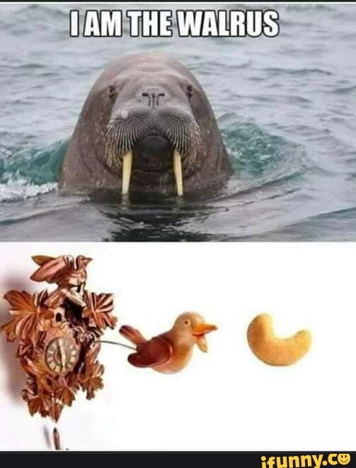 Cuckoo_clock memes. Best Collection of funny Cuckoo_clock pictures on iFunny