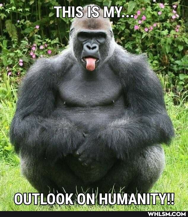 THIS IS MY...
OUTLOOK ON HUMANITY!!