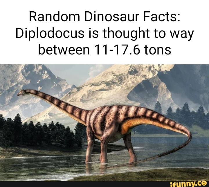 Random Dinosaur Facts: Diplodocus is thought to way between 11-17.6 ...