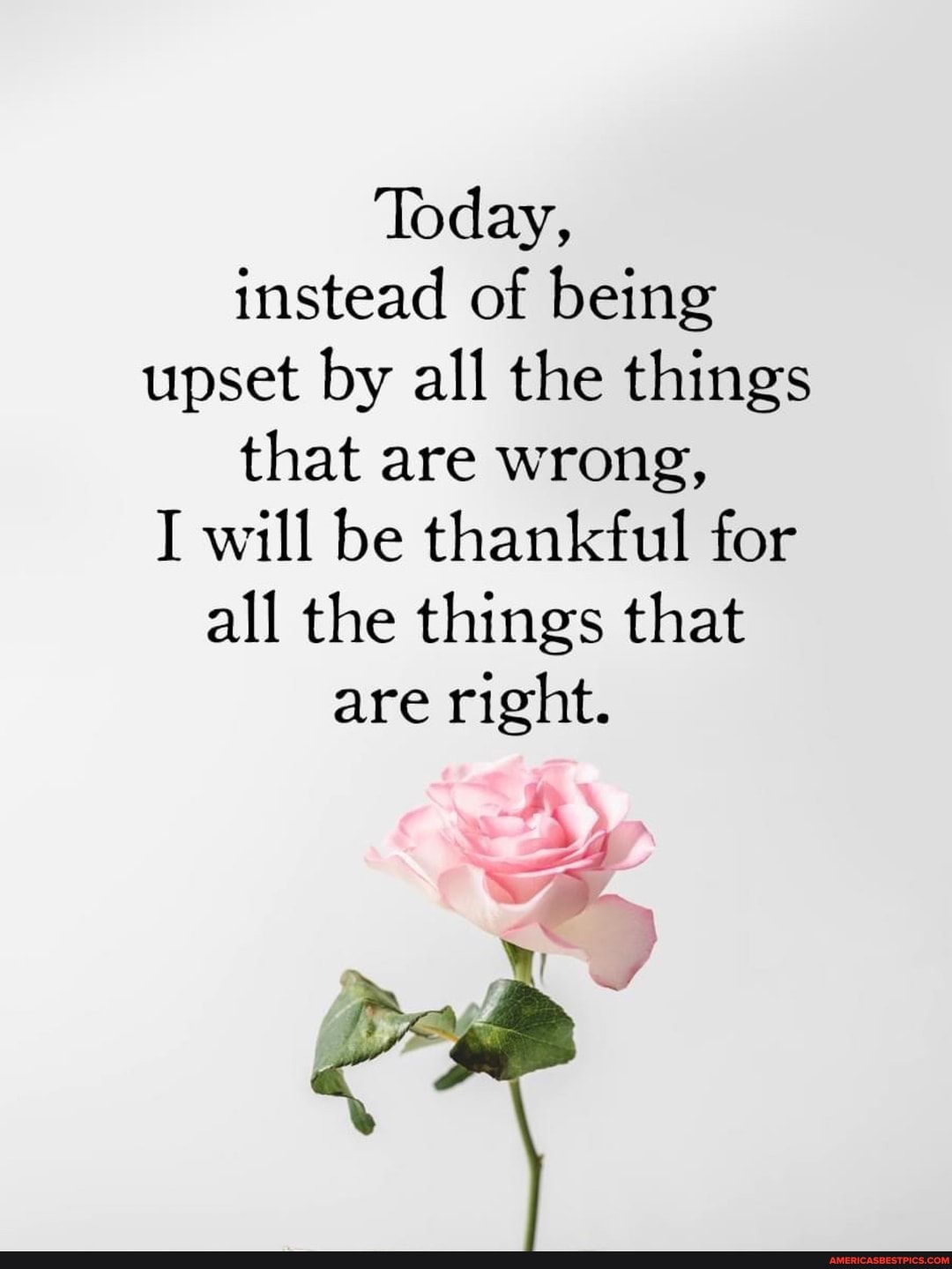 Today, instead of being upset by all the things that are wrong,
I will be thankful for all the things that are right.
