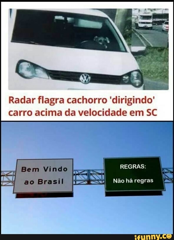 Radar flagra cachorro 'dirigindo'
carro acima da velocidade em SC
REGRAS:
Bem Vindo
I
SI are
ao Brasil = SSO Le
ISN