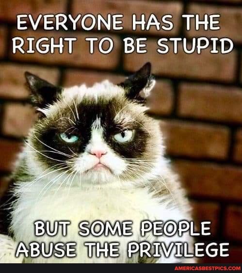 EVERYONE HAS THE RIGHT TO BE STUPID
ABUSE THE PRIVILEGE