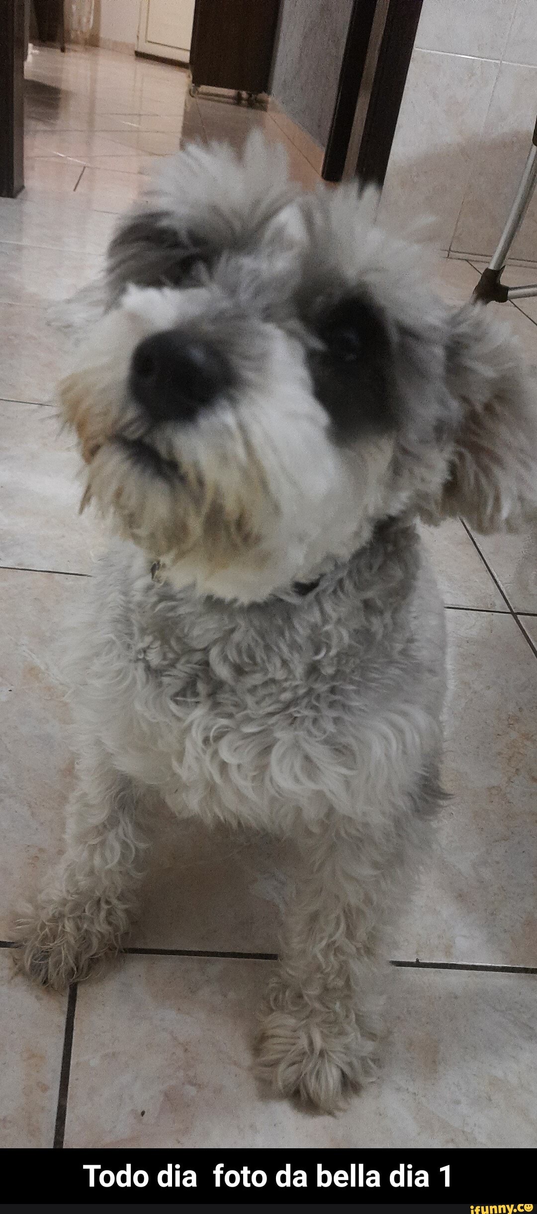 Todo dia foto da bella dia 1 - Todo dia foto da bella dia 1