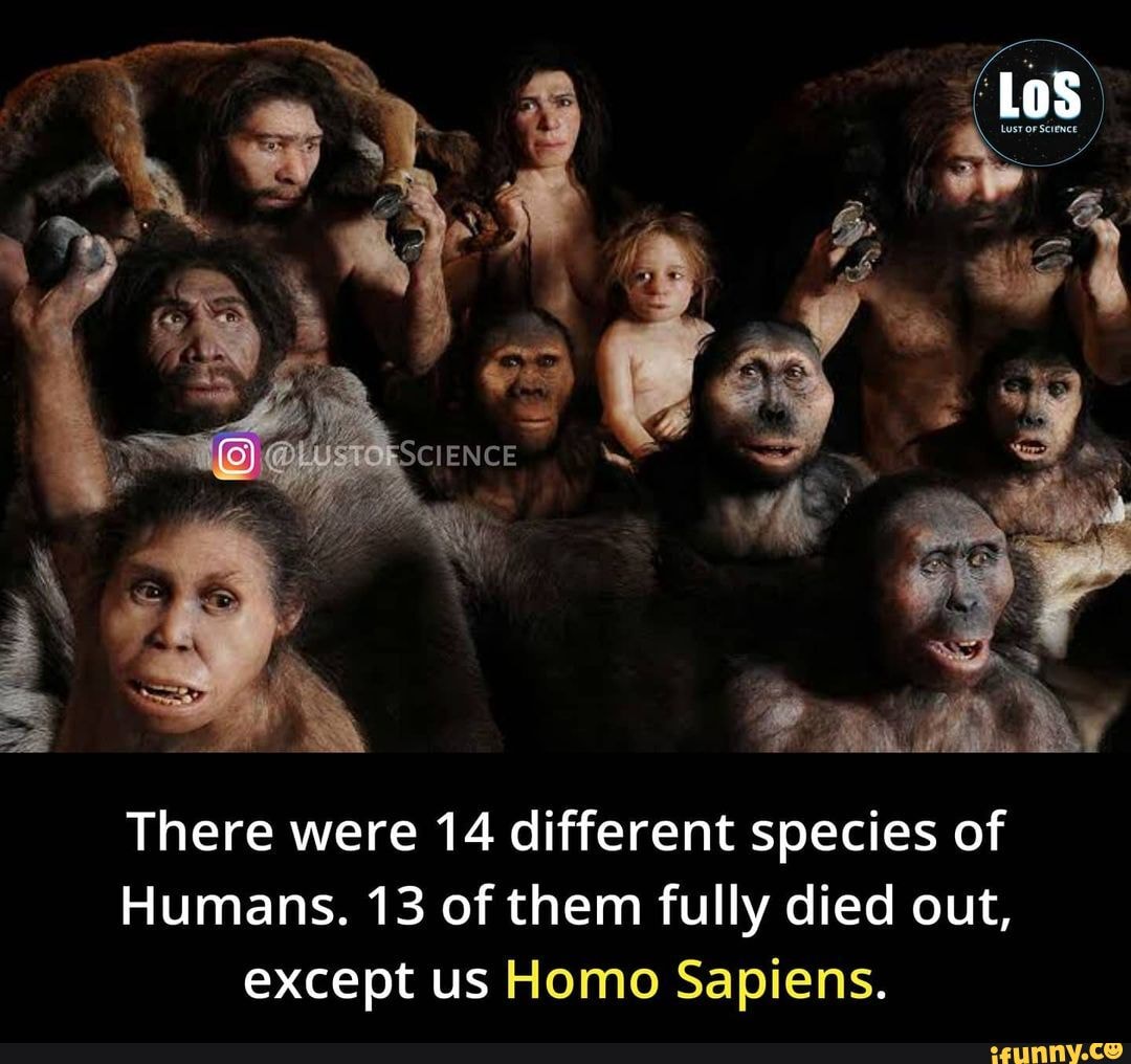 los-there-were-14-different-species-of-humans-13-of-them-fully-died