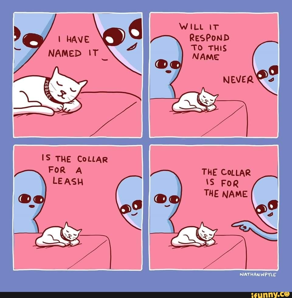 WILL it
RESPOND
TO
HAVE
NAMED
THE CoLLAR
FoR THE CoLLAR LEASH iS FoR
THE NAME
MATH