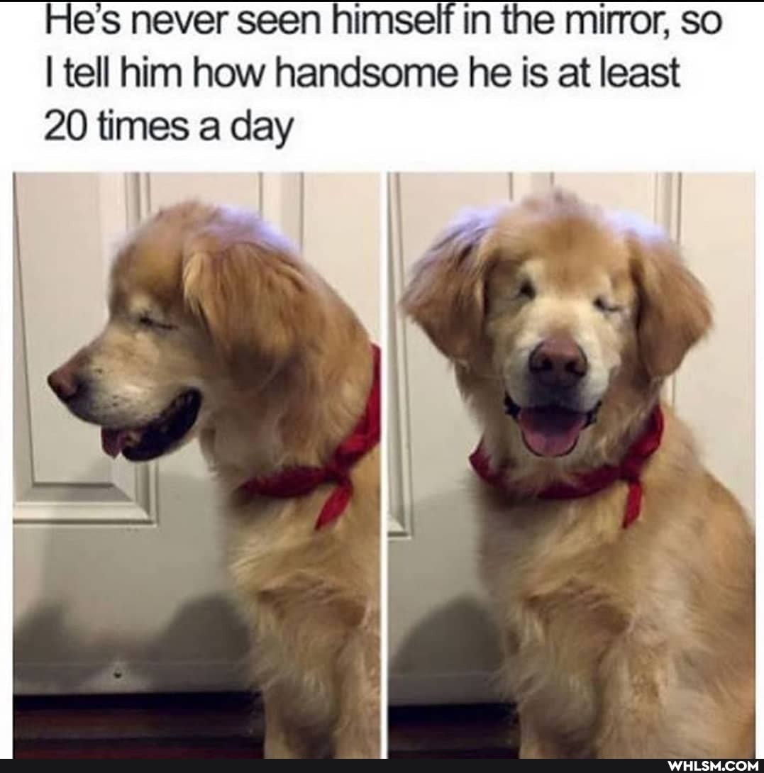 es never seen himself in the mirror, so
I tell him how handsome he is at least
20 times a day