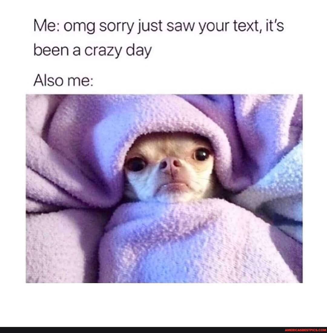 Me: omg sorry just saw your text, it's been a crazy day
Also me: