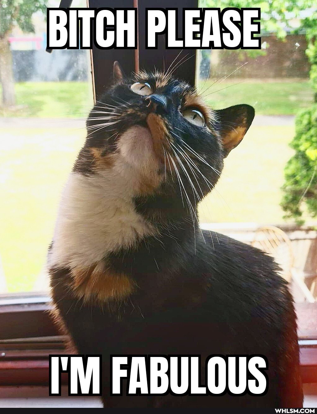 BITCH PLEASE
I'M FABULOUS