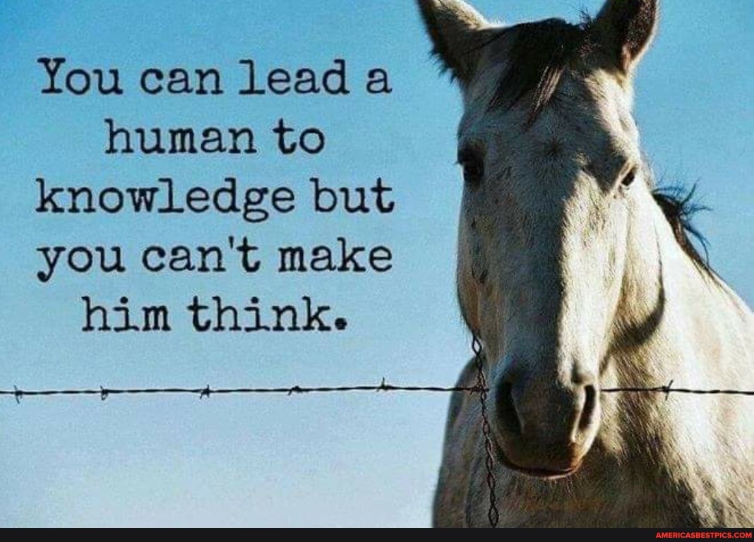 You can lead a human to knowledge but you can't make him think.