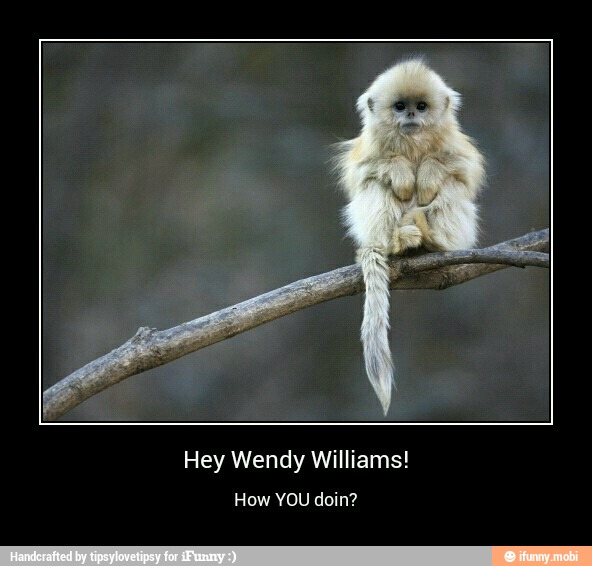 Hey Wendy Williams!
How YOU doin? - Hey Wendy Williams!
How YOU doin?