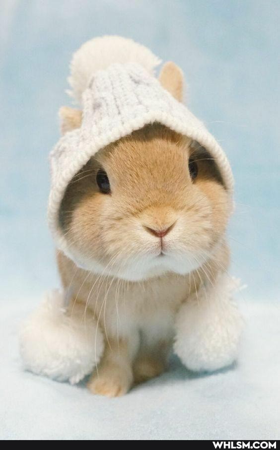 aww, smile