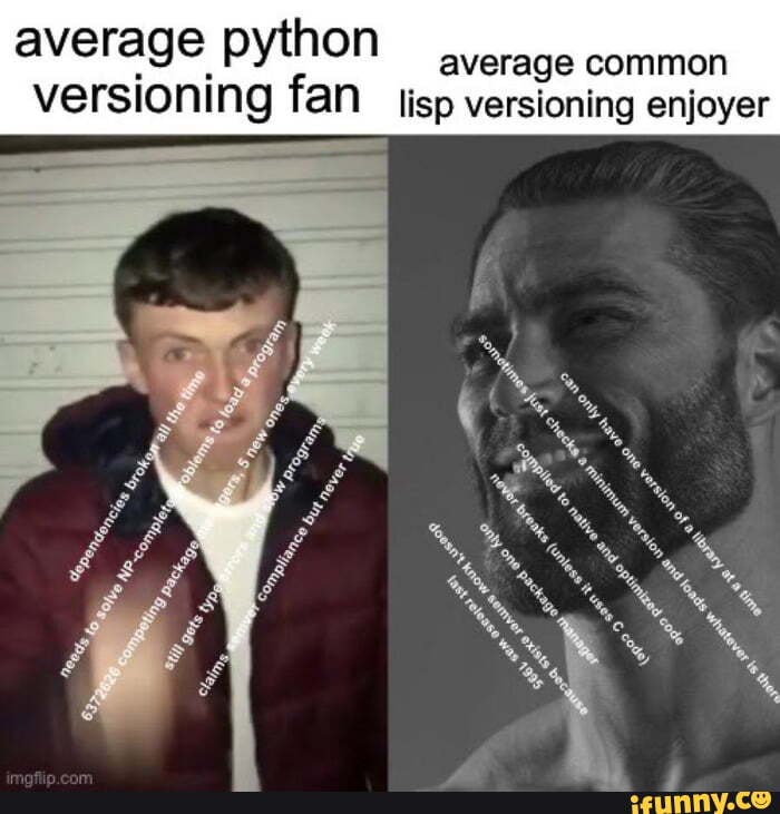 Average Python Average Common Versioning Fan Isp Versioning Enjoyer 