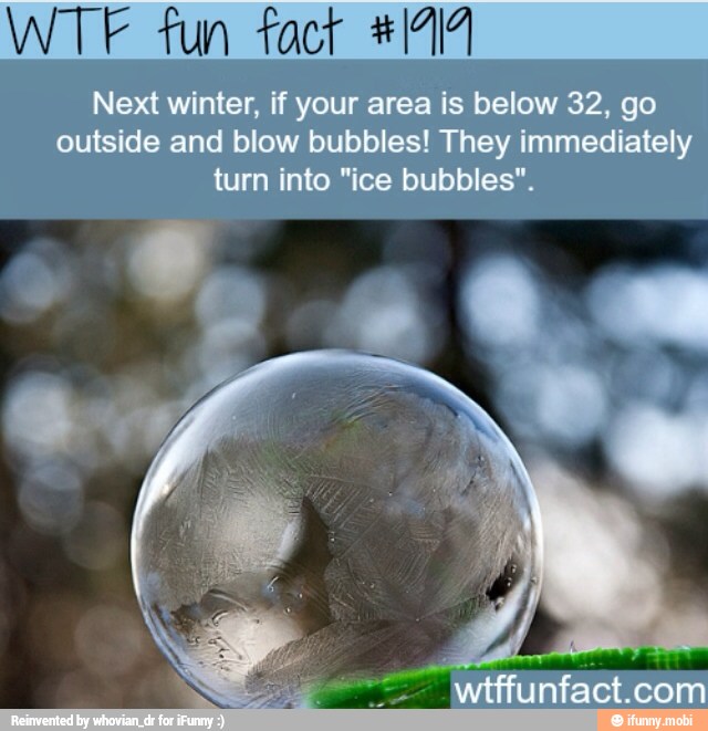 WTF tun fact +17