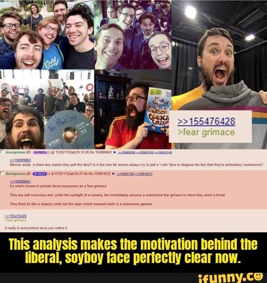 This analysis makes the motivation behind the liberal, soyboy face ...