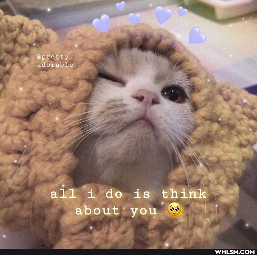 @pretty.
adorable
all i do is think
about you