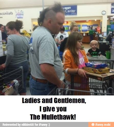 Ladies and Gentlemen,
Igive you
The Mullethawk!