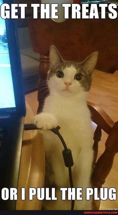 GET THE TREATS
OR PULL THE PLUG