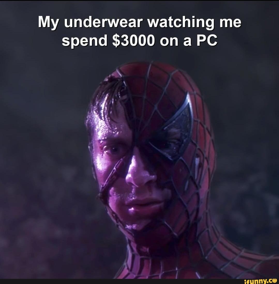 My underwear watching me spend 3000 on a PC iFunny