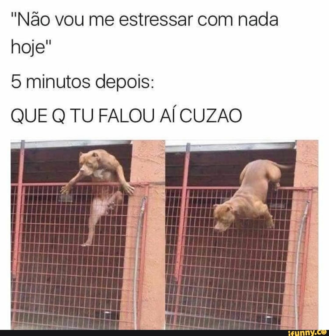 "Não vou me estressar com nada
hoje"
5 minutos depois:
QUE Q TU FALOU AÍ CUZAO