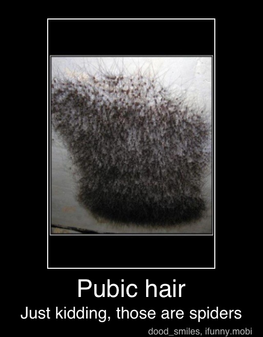 fallout 4 pubic hair