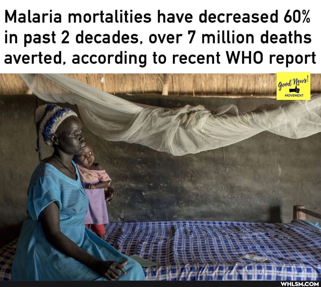 Malaria mortalities have decreased 60% in past 2 decades, over 7 million deaths averted, according to recent WHO report