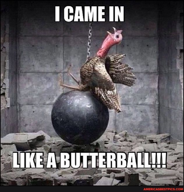 CAME IN
LIKE A BUTTERBALL!