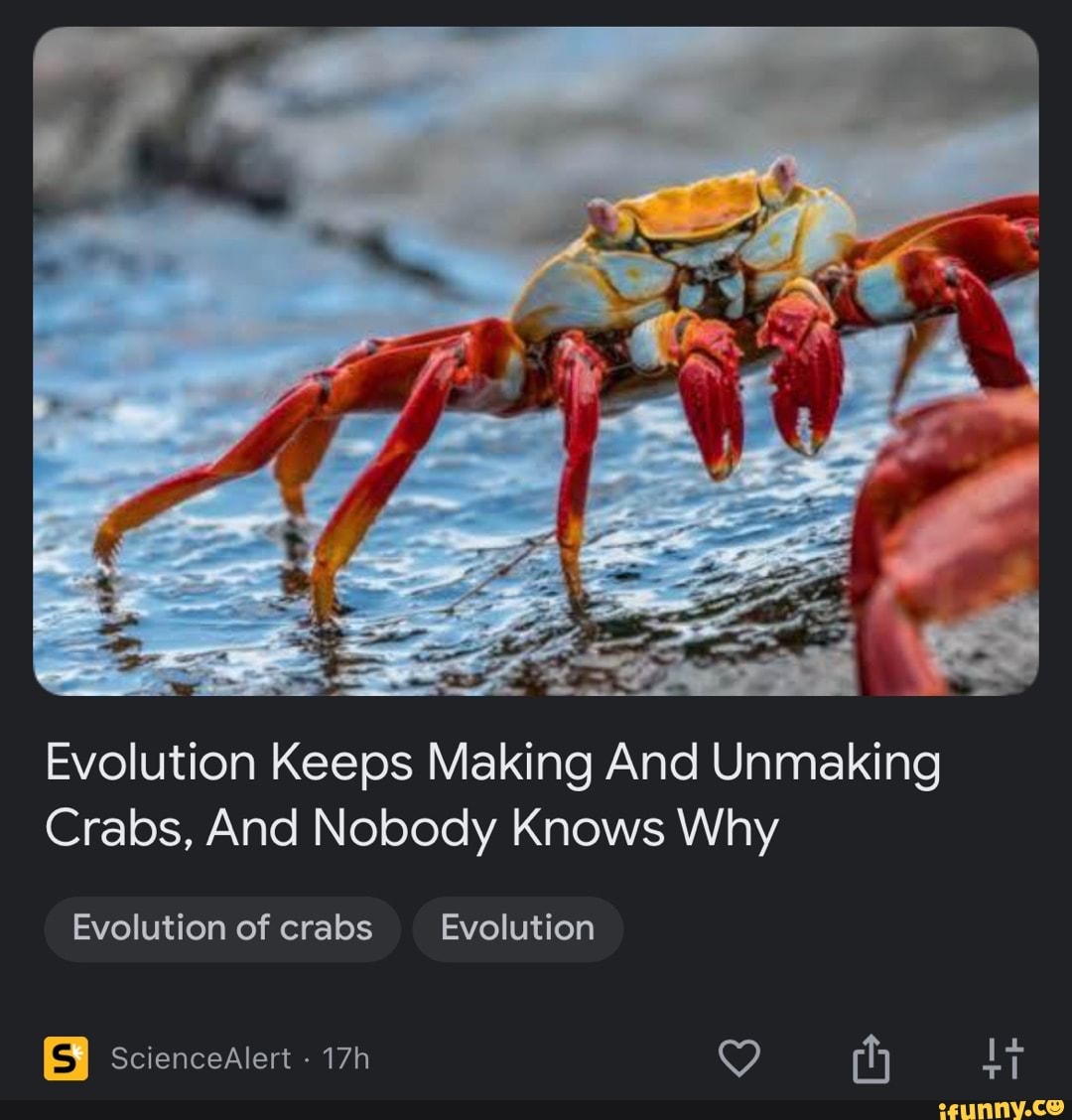 Evolution Keeps Making And Unmaking Crabs, And Nobody Knows Why