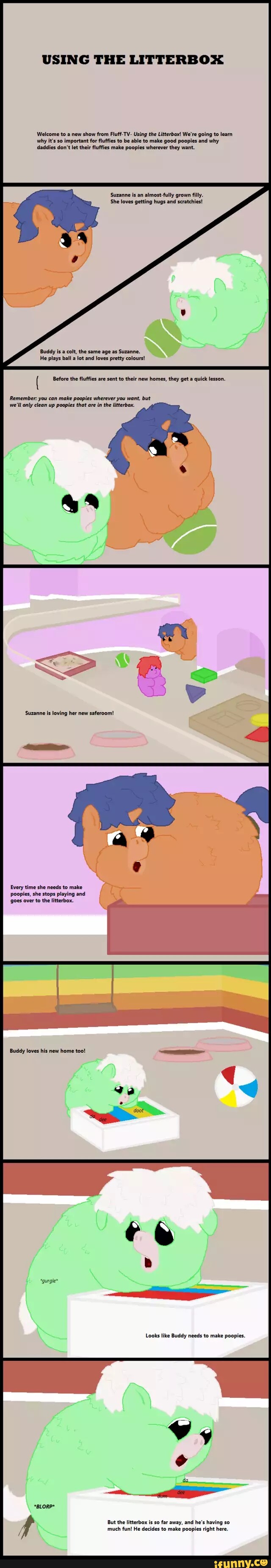 USING THE LITTERBOX Welcome to a new show from Fluff-TV- Using the Litterbox! We're going to