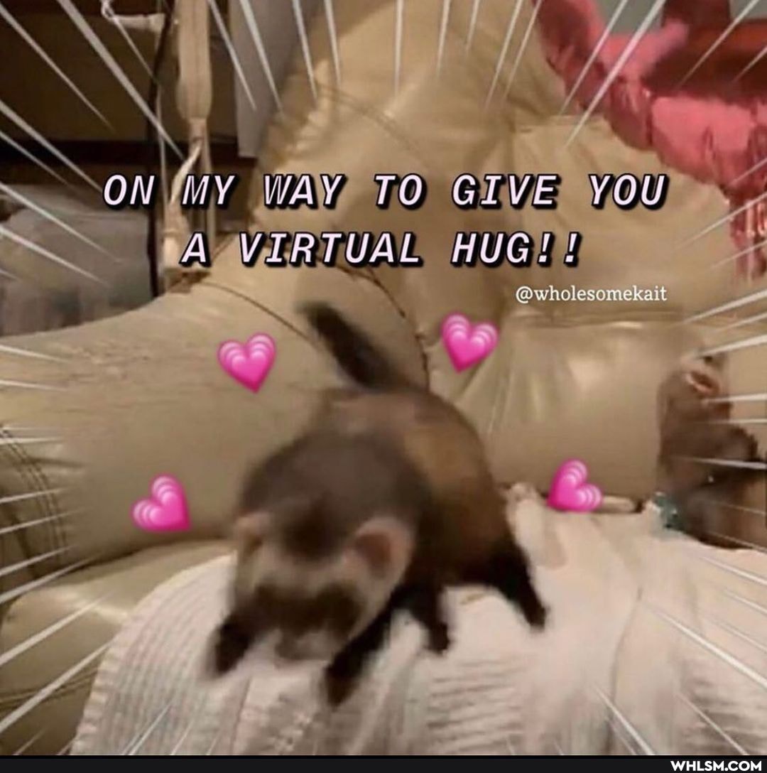 ff
Now WAY TO GIVE YOU
@wholesomekait