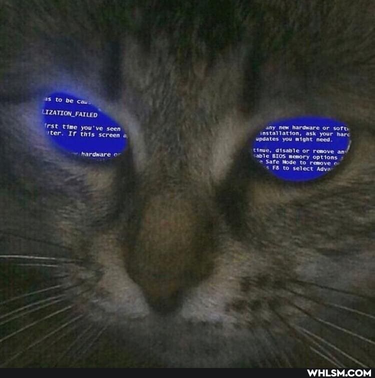Mar.
en hardware or instanvation, you ask might your hare
Res you might need