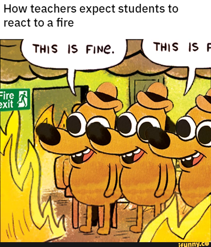 How teachers expect students to react to a fire
"ire
THIS IS FINE. THIS IS F