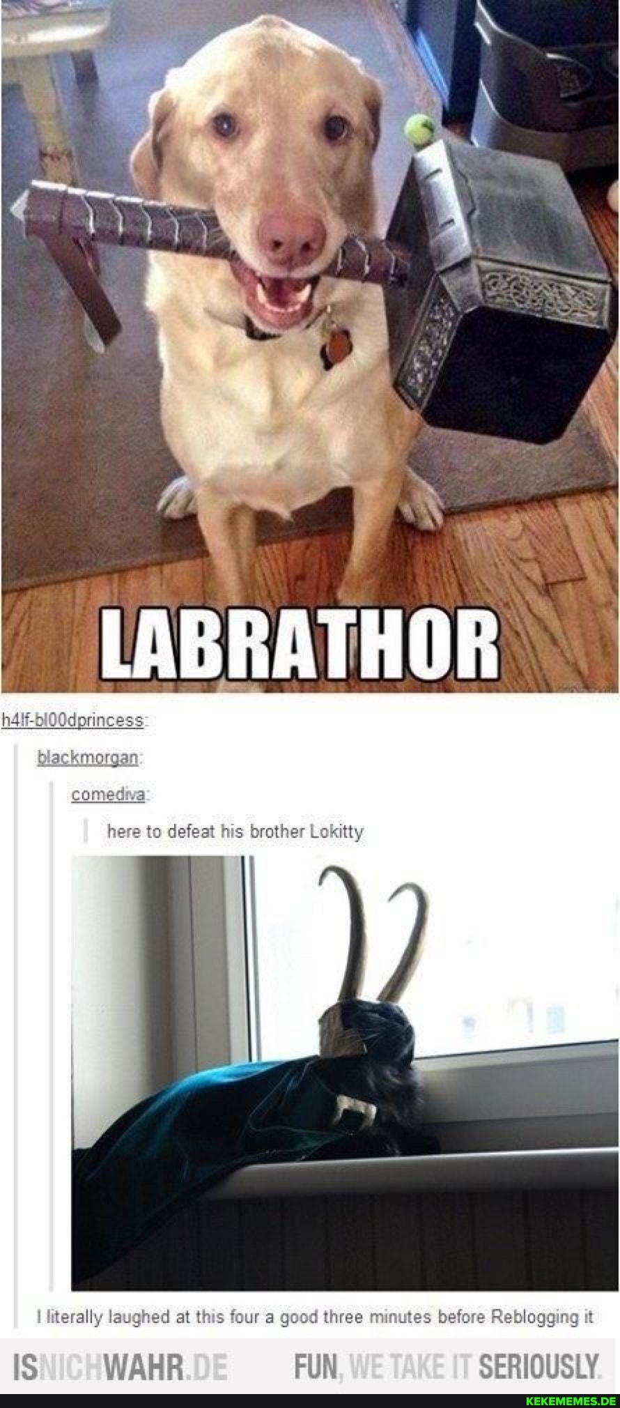 here to defeat his brother Lokitty
literally laughed at this four a good three minutes before Reblogging it
IS WAHR FUN SERIOUSLY