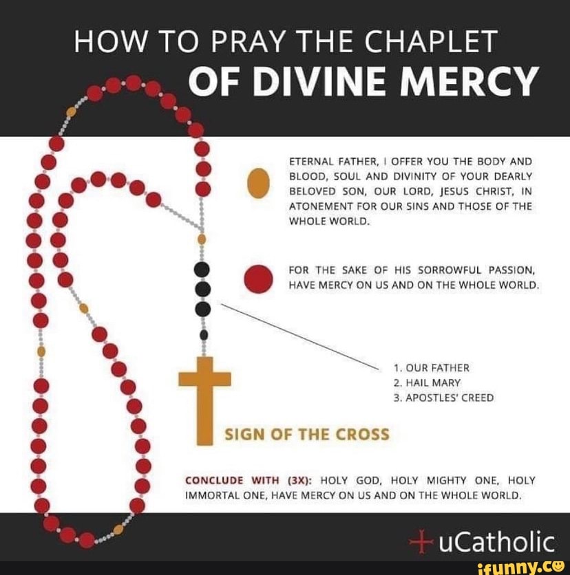 HOW TO PRAY THE CHAPLET OF DIVINE MERCY BLOOD, SOUL AND DIVINITY OF ...